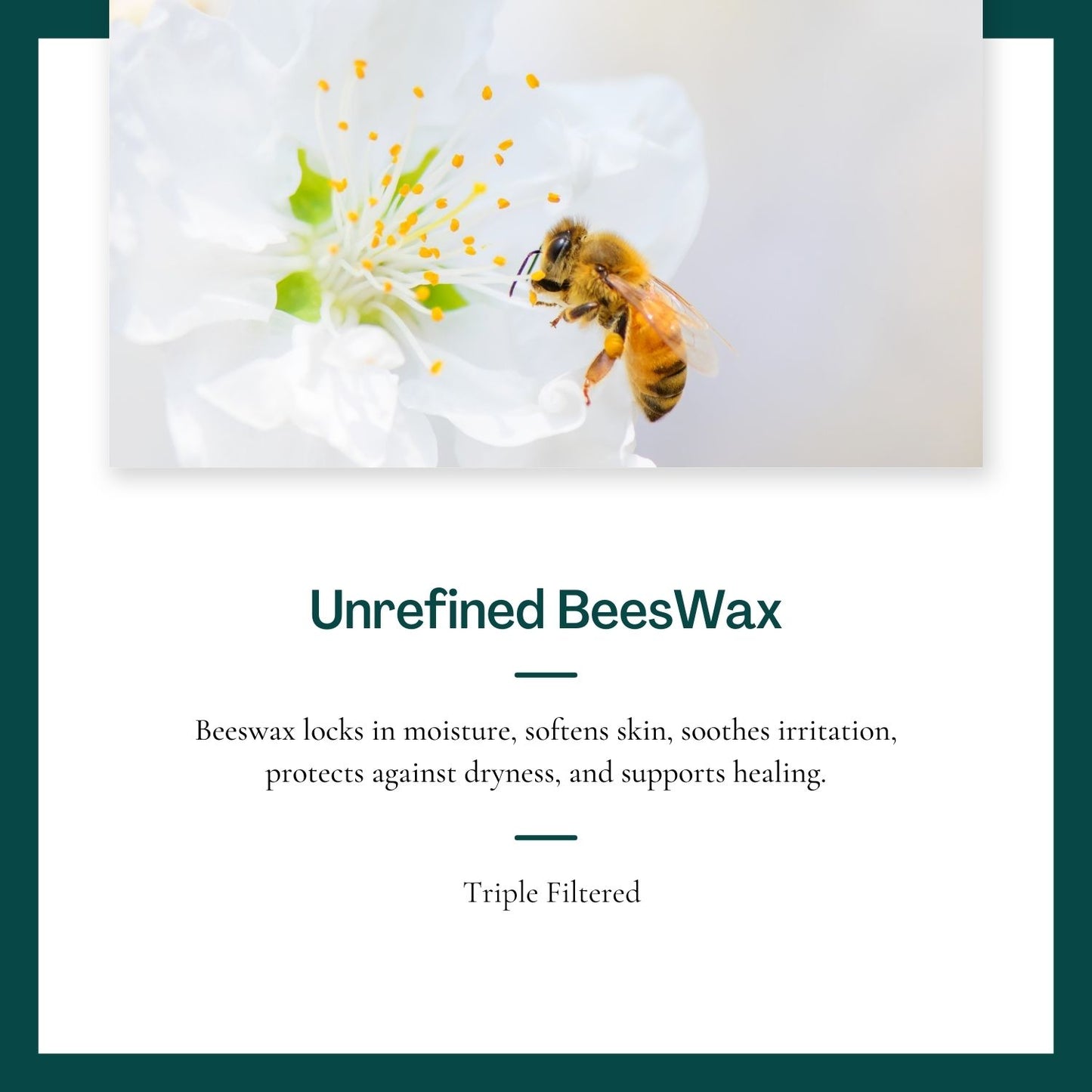 BeesWax | Unrefined and Triple Filtered